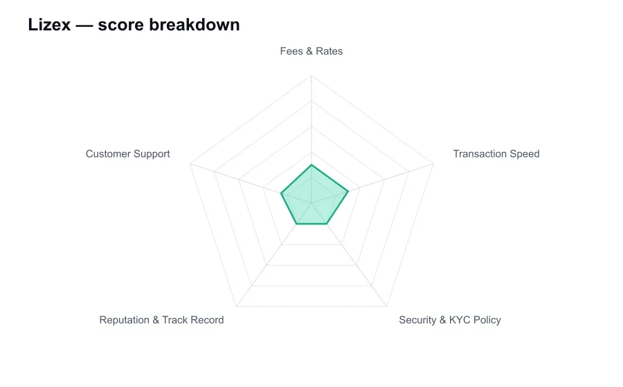 Lizex score breakdown by criterion, shown as a radar chart